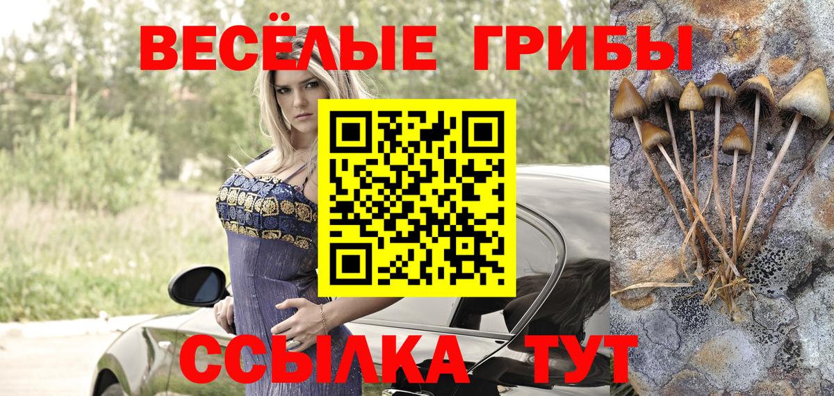 Серпухов  Галлюциногенные грибы мицелий  Вход с VPN 